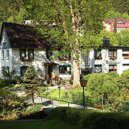 Haus Gruene Insel - Ferienwohnungen Altenau  Esterno foto