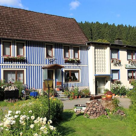 Haus Gruene Insel - Ferienwohnungen Altenau  Esterno foto