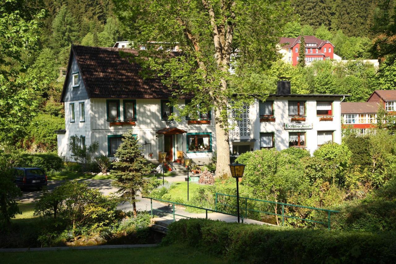 Haus Gruene Insel - Ferienwohnungen Altenau  Esterno foto