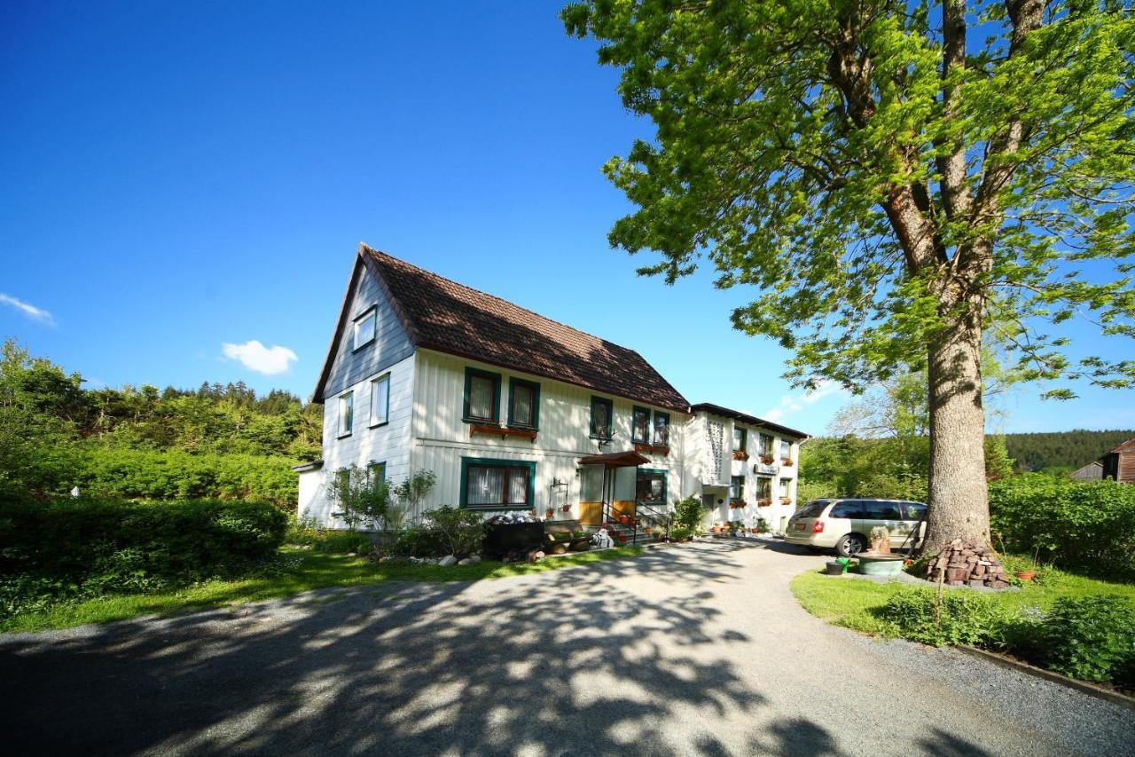 Haus Gruene Insel - Ferienwohnungen Altenau  Esterno foto