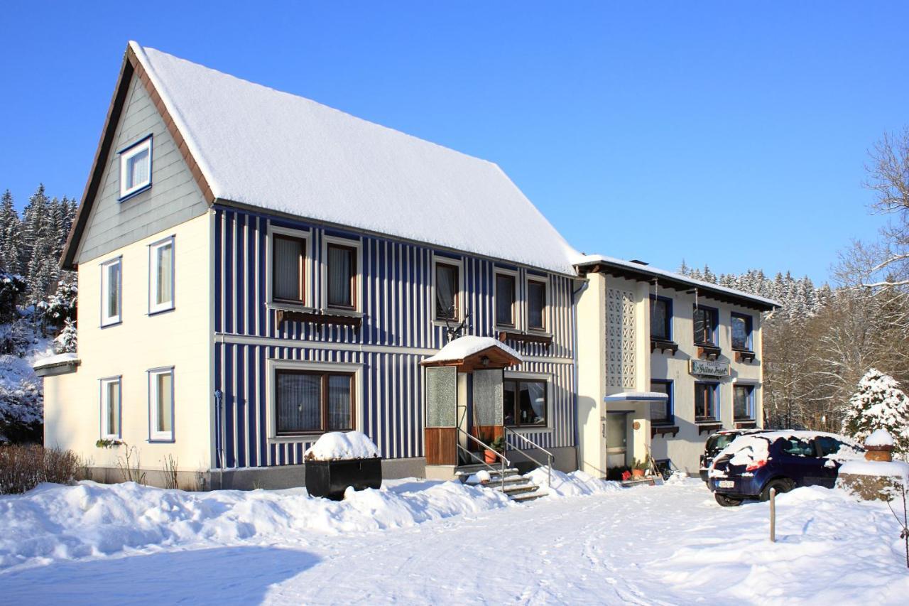 Haus Gruene Insel - Ferienwohnungen Altenau  Esterno foto
