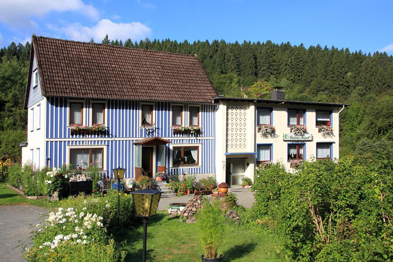 Haus Gruene Insel - Ferienwohnungen Altenau  Esterno foto